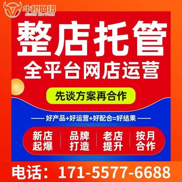 海门电商代运营